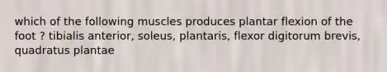 which of the following muscles produces plantar flexion of the foot ? tibialis anterior, soleus, plantaris, flexor digitorum brevis, quadratus plantae