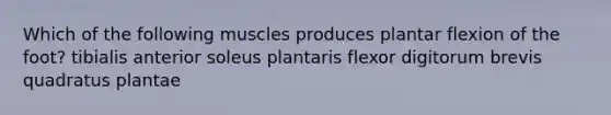 Which of the following muscles produces plantar flexion of the foot? tibialis anterior soleus plantaris flexor digitorum brevis quadratus plantae