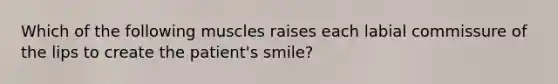 Which of the following muscles raises each labial commissure of the lips to create the patient's smile?