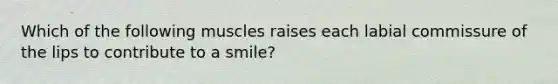 Which of the following muscles raises each labial commissure of the lips to contribute to a smile?