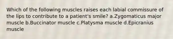 Which of the following muscles raises each labial commissure of the lips to contribute to a patient's smile? a.Zygomaticus major muscle b.Buccinator muscle c.Platysma muscle d.Epicranius muscle