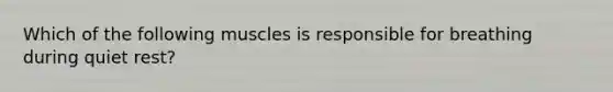 Which of the following muscles is responsible for breathing during quiet rest?