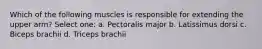 Which of the following muscles is responsible for extending the upper arm? Select one: a. Pectoralis major b. Latissimus dorsi c. Biceps brachii d. Triceps brachii