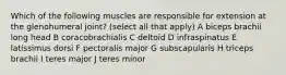 Which of the following muscles are responsible for extension at the glenohumeral joint? (select all that apply) A biceps brachii long head B coracobrachialis C deltoid D infraspinatus E latissimus dorsi F pectoralis major G subscapularis H triceps brachii I teres major J teres minor