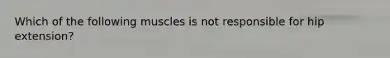 Which of the following muscles is not responsible for hip extension?