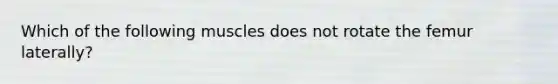 Which of the following muscles does not rotate the femur laterally?