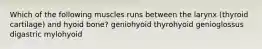 Which of the following muscles runs between the larynx (thyroid cartilage) and hyoid bone? geniohyoid thyrohyoid genioglossus digastric mylohyoid