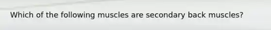 Which of the following muscles are secondary back muscles?