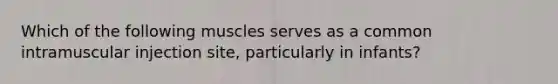 Which of the following muscles serves as a common intramuscular injection site, particularly in infants?