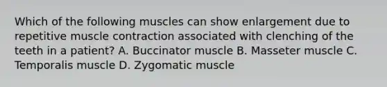 Which of the following muscles can show enlargement due to repetitive muscle contraction associated with clenching of the teeth in a patient? A. Buccinator muscle B. Masseter muscle C. Temporalis muscle D. Zygomatic muscle