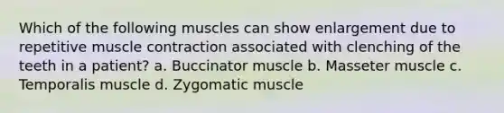 Which of the following muscles can show enlargement due to repetitive muscle contraction associated with clenching of the teeth in a patient? a. Buccinator muscle b. Masseter muscle c. Temporalis muscle d. Zygomatic muscle