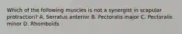 Which of the following muscles is not a synergist in scapular protraction? A. Serratus anterior B. Pectoralis major C. Pectoralis minor D. Rhomboids