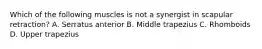 Which of the following muscles is not a synergist in scapular retraction? A. Serratus anterior B. Middle trapezius C. Rhomboids D. Upper trapezius
