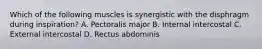 Which of the following muscles is synergistic with the disphragm during inspiration? A. Pectoralis major B. Internal intercostal C. External intercostal D. Rectus abdominis