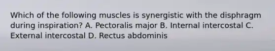 Which of the following muscles is synergistic with the disphragm during inspiration? A. Pectoralis major B. Internal intercostal C. External intercostal D. Rectus abdominis