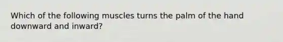 Which of the following muscles turns the palm of the hand downward and inward?