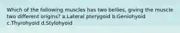 Which of the following muscles has two bellies, giving the muscle two different origins? a.Lateral pterygoid b.Geniohyoid c.Thyrohyoid d.Stylohyoid