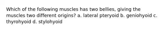 Which of the following muscles has two bellies, giving the muscles two different origins? a. lateral pteryoid b. geniohyoid c. thyrohyoid d. stylohyoid