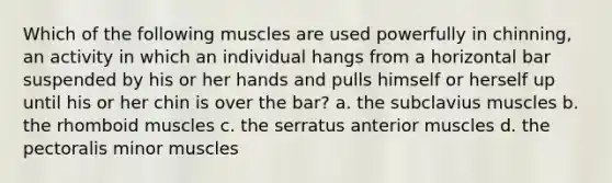 Which of the following muscles are used powerfully in chinning, an activity in which an individual hangs from a horizontal bar suspended by his or her hands and pulls himself or herself up until his or her chin is over the bar? a. the subclavius muscles b. the rhomboid muscles c. the serratus anterior muscles d. the pectoralis minor muscles