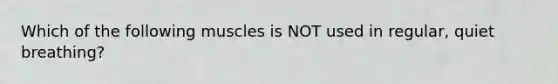 Which of the following muscles is NOT used in regular, quiet breathing?