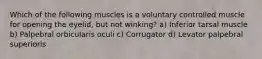 Which of the following muscles is a voluntary controlled muscle for opening the eyelid, but not winking? a) Inferior tarsal muscle b) Palpebral orbicularis oculi c) Corrugator d) Levator palpebral superioris