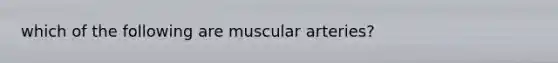 which of the following are muscular arteries?