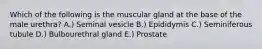 Which of the following is the muscular gland at the base of the male urethra? A.) Seminal vesicle B.) Epididymis C.) Seminiferous tubule D.) Bulbourethral gland E.) Prostate