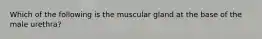 Which of the following is the muscular gland at the base of the male urethra?