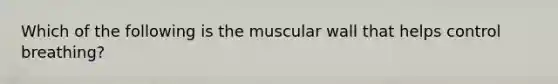 Which of the following is the muscular wall that helps control breathing?