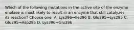 Which of the following mutations in the active site of the enzyme enolase is most likely to result in an enzyme that still catalyzes its reaction? Choose one: A. Lys396→Ile396 B. Glu295→Lys295 C. Glu295→Asp295 D. Lys396→Glu396