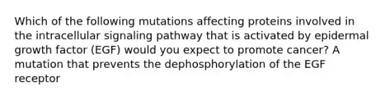 Which of the following mutations affecting proteins involved in the intracellular signaling pathway that is activated by epidermal growth factor (EGF) would you expect to promote cancer? A mutation that prevents the dephosphorylation of the EGF receptor