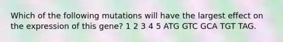 Which of the following mutations will have the largest effect on the expression of this gene? 1 2 3 4 5 ATG GTC GCA TGT TAG.