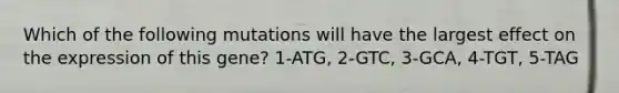 Which of the following mutations will have the largest effect on the expression of this gene? 1-ATG, 2-GTC, 3-GCA, 4-TGT, 5-TAG