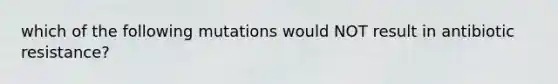 which of the following mutations would NOT result in antibiotic resistance?