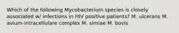 Which of the following Mycobacterium species is closely associated w/ infections in HIV positive patients? M. ulcerans M. avium-intracellulare complex M. simiae M. bovis