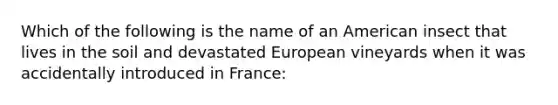 Which of the following is the name of an American insect that lives in the soil and devastated European vineyards when it was accidentally introduced in France: