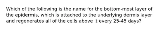 Which of the following is the name for the bottom-most layer of the epidermis, which is attached to the underlying dermis layer and regenerates all of the cells above it every 25-45 days?