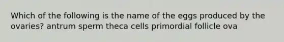 Which of the following is the name of the eggs produced by the ovaries? antrum sperm theca cells primordial follicle ova