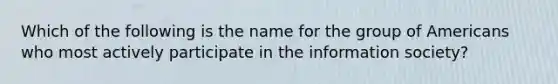 Which of the following is the name for the group of Americans who most actively participate in the information society?