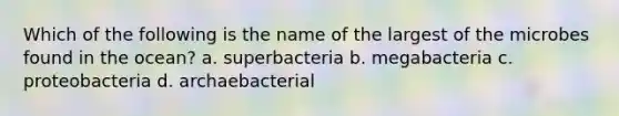 Which of the following is the name of the largest of the microbes found in the ocean? a. superbacteria b. megabacteria c. proteobacteria d. archaebacterial