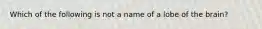 Which of the following is not a name of a lobe of the brain?