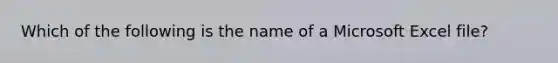 Which of the following is the name of a Microsoft Excel file?