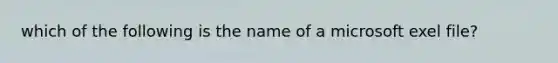 which of the following is the name of a microsoft exel file?