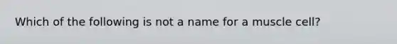 Which of the following is not a name for a muscle cell?