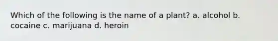 Which of the following is the name of a plant? a. alcohol b. cocaine c. marijuana d. heroin