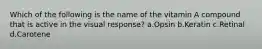 Which of the following is the name of the vitamin A compound that is active in the visual response? ​a.​Opsin ​b.​Keratin ​c.​Retinal ​d.​Carotene