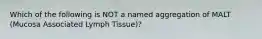 Which of the following is NOT a named aggregation of MALT (Mucosa Associated Lymph Tissue)?