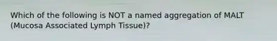 Which of the following is NOT a named aggregation of MALT (Mucosa Associated Lymph Tissue)?