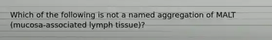 Which of the following is not a named aggregation of MALT (mucosa-associated lymph tissue)?