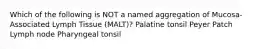 Which of the following is NOT a named aggregation of Mucosa-Associated Lymph Tissue (MALT)? Palatine tonsil Peyer Patch Lymph node Pharyngeal tonsil